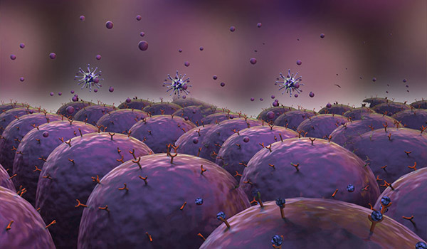 Toll-like Receptor Signaling Pathway